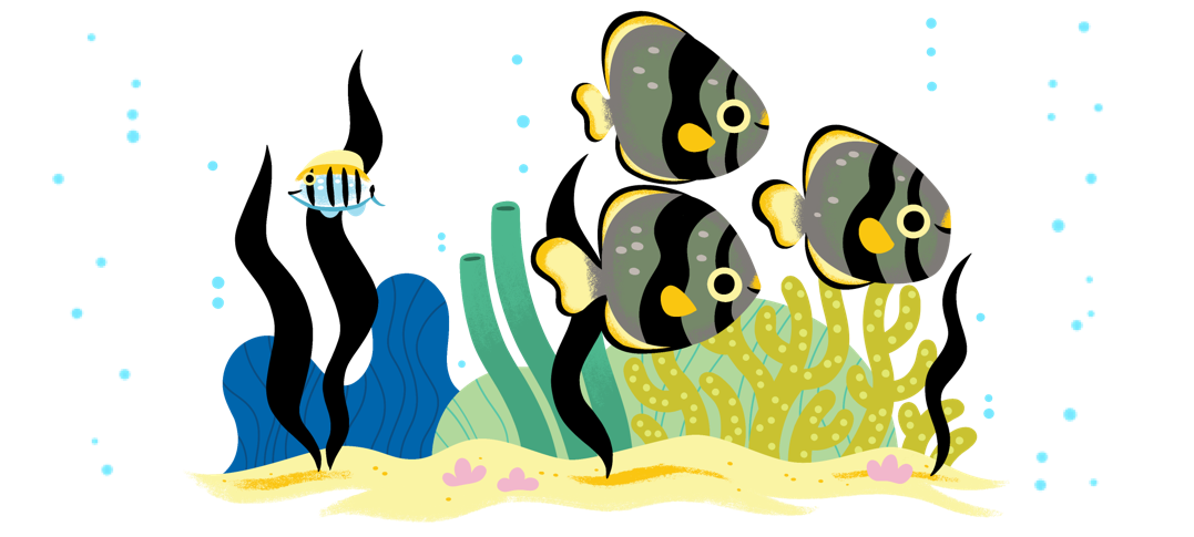 Un groupe de trois poissons et un poisson solitaire nageant au fond de l'océan avec des algues et des coraux