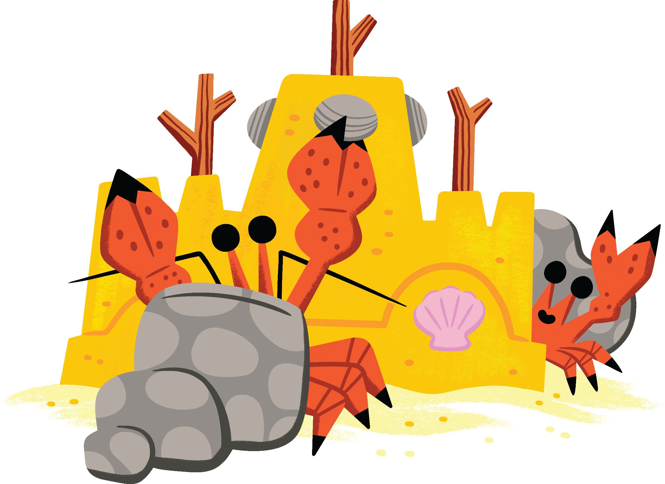 hermit crabs building sand castle