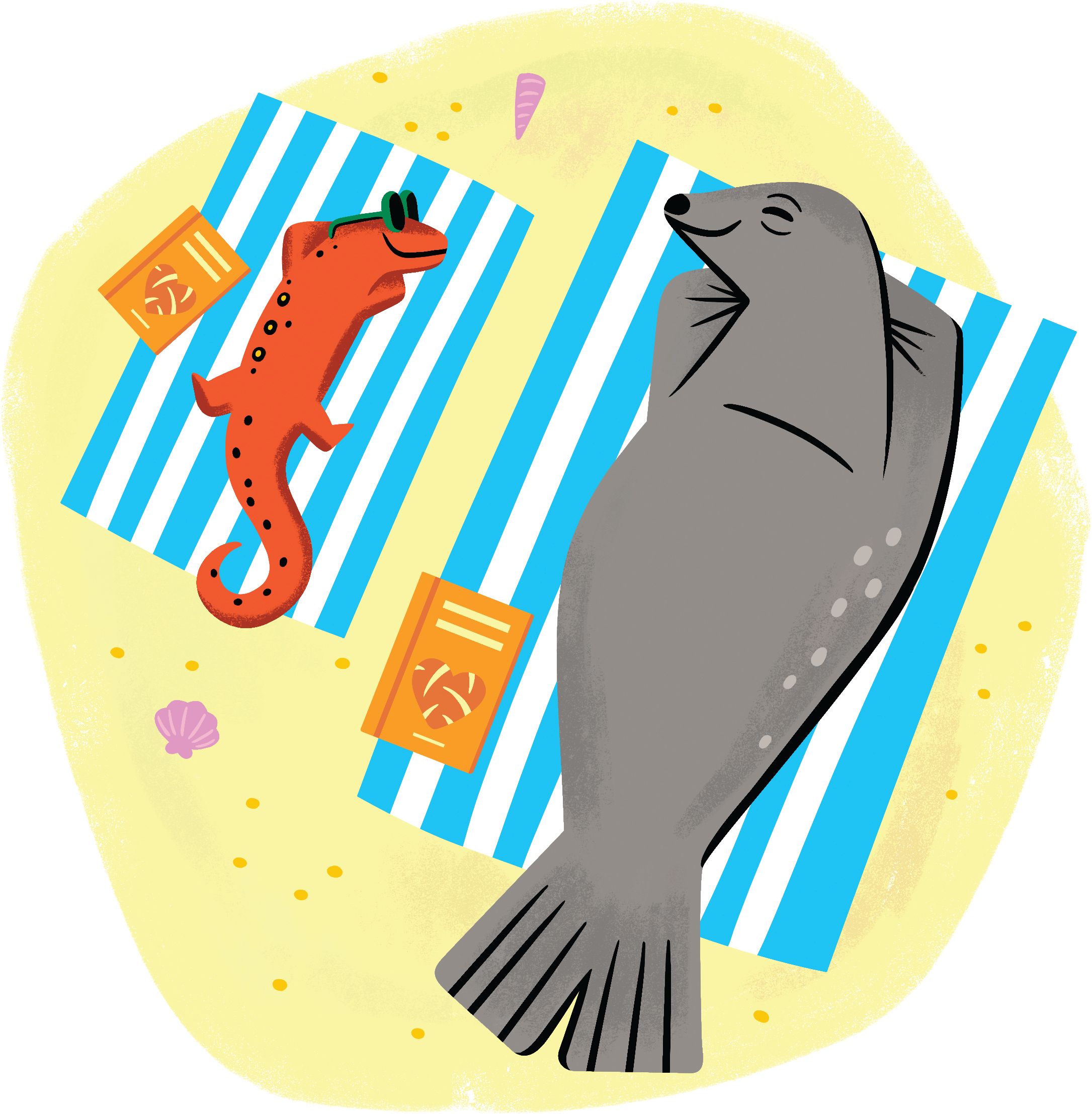 Un phoque et une salamandre étendus des serviettes de plage