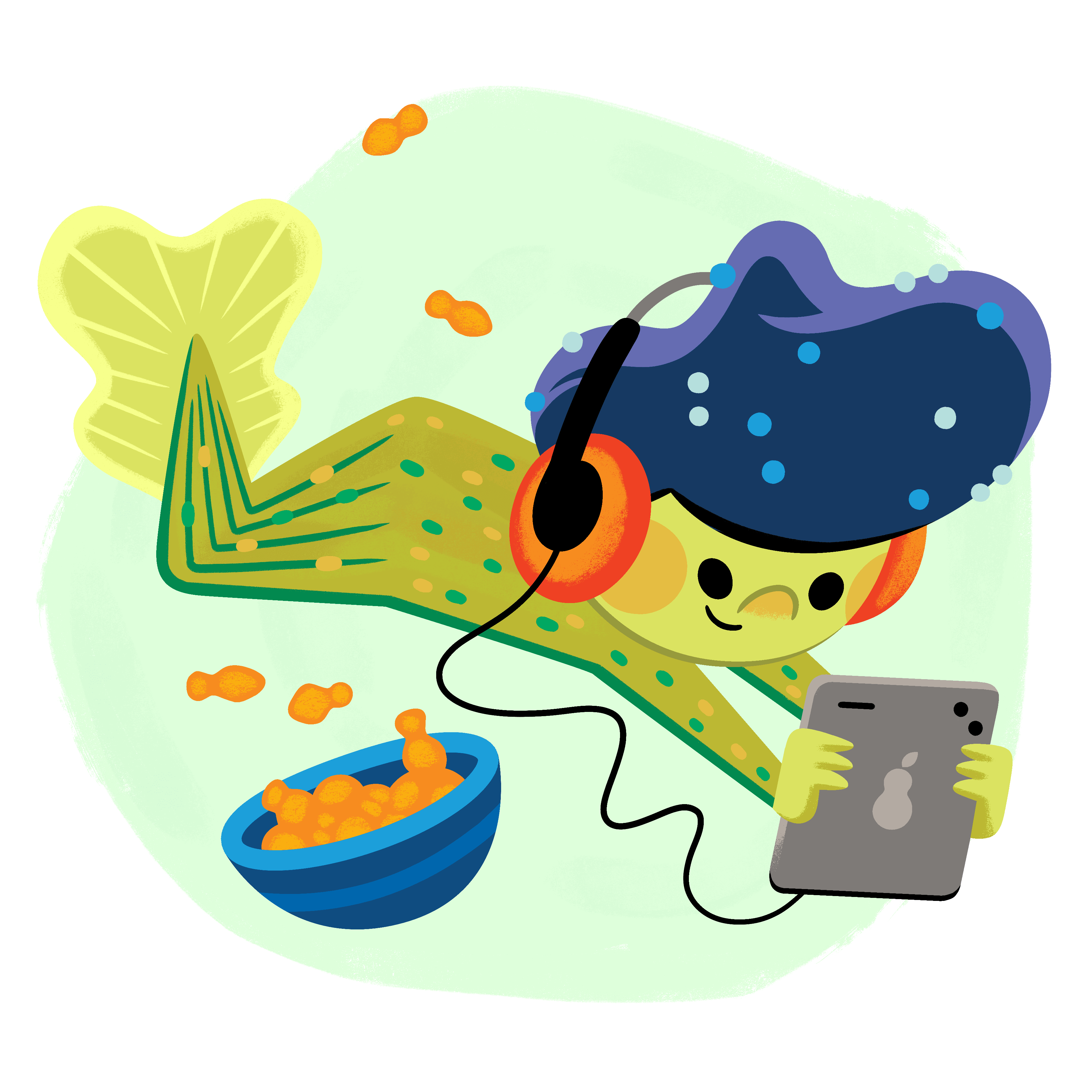 L’Office national du film en biblio